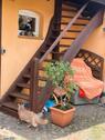 Foto - andere in Templin zur Miete