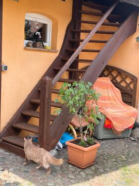 Foto - andere in Templin zur Miete