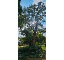 3 Zimmer Wochnung. Loshausen- Willingshausen . Kaltmite 580€