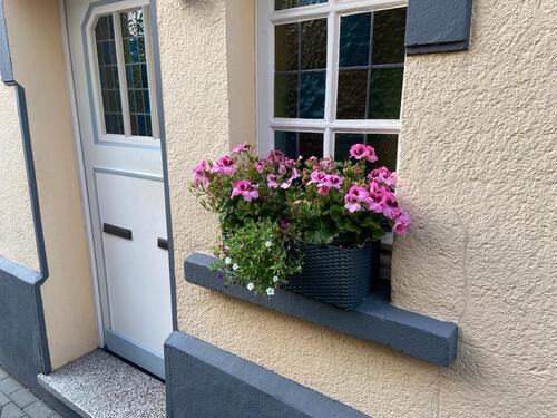 Foto - Charmante Altbauwohnung, in bester Lage, Blick ins Grüne, Emsnah