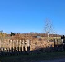 Grundstück für Tiny-House zu verpachten - Erxleben