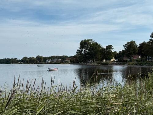Foto - andere in Dranske zur Miete