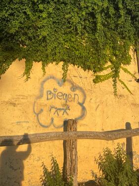 Foto - Zimmer im EFH - 350,00&nbsp;EUR Kaltmiete, ca.&nbsp; 8,00&nbsp;m&sup2;