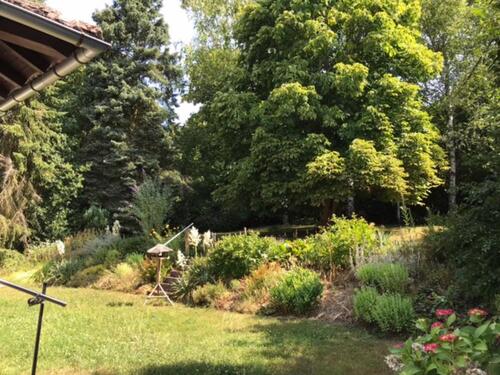 Foto - Einfamilienhaus in Solms zum Kaufen