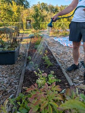 Foto - Grundst&uuml;ck zur Miete in Papendorf