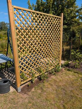 Foto - Grundst&uuml;ck in Papendorf