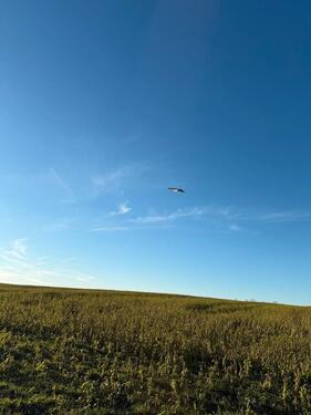 Foto - Gartengrundstück, Wochenendgrundstück , Erholung , Lagerfläche