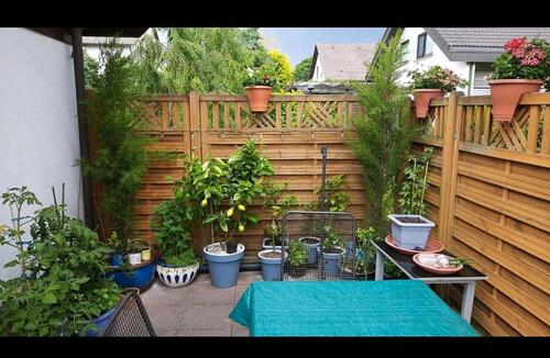 Foto - 1 Zimmer Erdgeschoßwohnung zur Miete in Gundelfingen