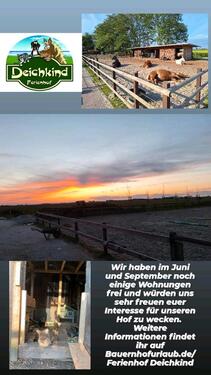 Foto - andere zur Miete in Dornum