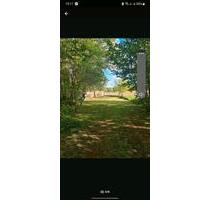 Teichanlage zu verpachten - 150,00&nbsp;EUR Kaltmiete, ca.&nbsp; 0,00&nbsp;m&sup2; in Putlitz (PLZ: 16949)