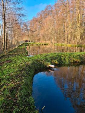 Foto - Grundst&uuml;ck in Putlitz zur Miete