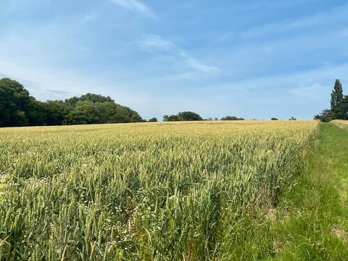 Foto - 1 Zimmer Einfamilienhaus in Solingen