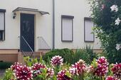 Foto - Mehrfamilienhaus, Wohnhaus in Sülzetal zum Kaufen