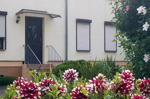 Foto - Mehrfamilienhaus, Wohnhaus in Sülzetal zum Kaufen