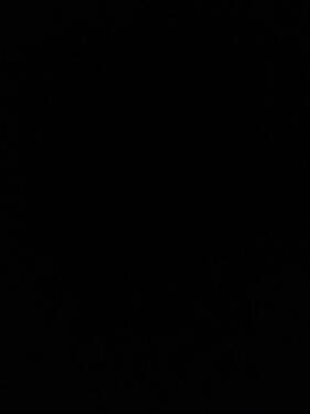 Foto - Helle 3-Zimmer-Wohnung in Kassel-Bad-Wilhelmsöhe