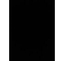 Helle 3-Zimmer-Wohnung in Kassel-Bad-Wilhelmsöhe