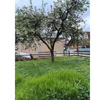 Ein-Zweifamilienhaus in Brotterode, Hagenplatz zu verkaufen - Brotterode-Trusetal