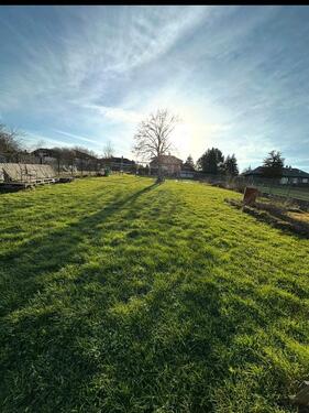 Foto - Wiese zu vermieten !! - 250,00&nbsp;EUR Kaltmiete, ca.&nbsp; 900,00&nbsp;m&sup2;
