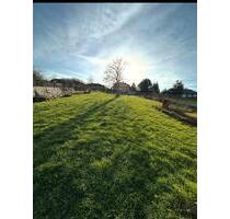 Wiese zu vermieten !! - 250,00&nbsp;EUR Kaltmiete, ca.&nbsp; 900,00&nbsp;m&sup2; in Auetal (PLZ: 31749)
