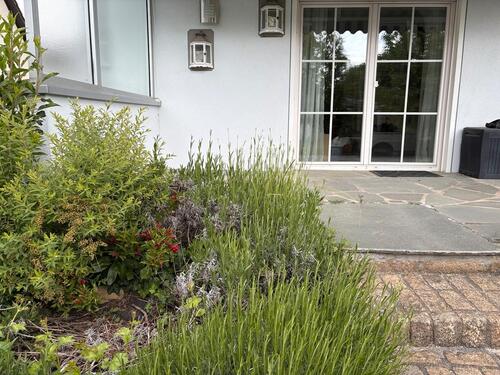 Foto - Geräumiges und freistehendes Einfamilienhaus in Leitershofen