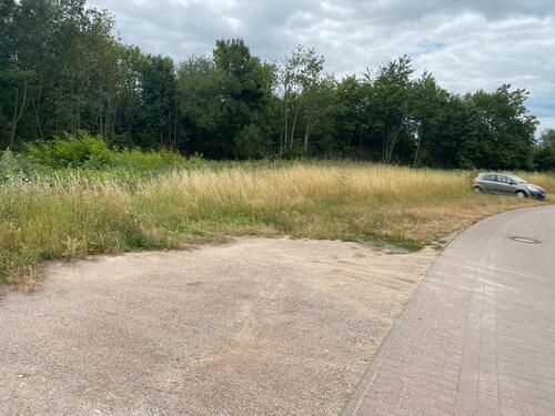 Foto - andere in Wörrstadt