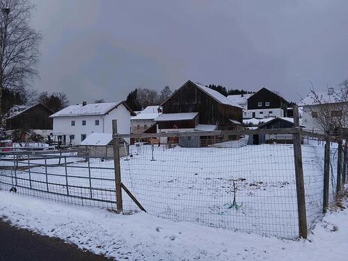 Foto - 20 Zimmer Einfamilienhaus zum Kaufen in Kirchberg im Wald