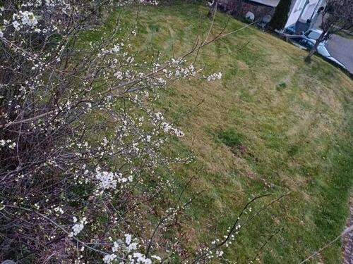 Foto - Grundstück in der Vulkaneifel zu vermieten