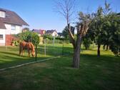 Foto - Einfamilienhaus zur Miete in Niestetal