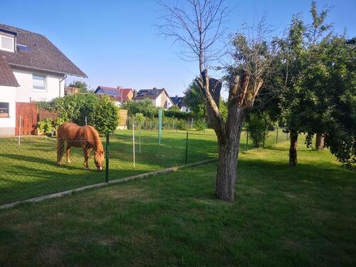 Foto - Einfamilienhaus zur Miete in Niestetal