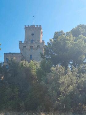 Foto - andere in Gochsheim