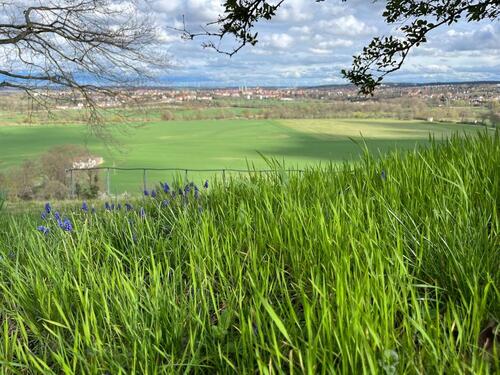 Foto - Exklusives Wochenenddomizil in naturnaher Alleinlage zu vermieten