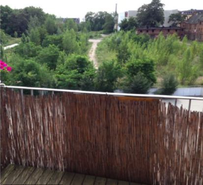 Foto - 1 Zimmer Etagenwohnung zur Miete in Magdeburg