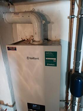 Foto - Reihenhaus in Hamberge zum Kaufen