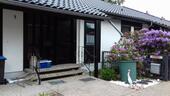 Foto - andere in Winsen (Aller)