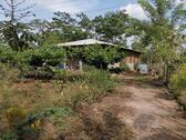 Foto - Haus mit großem Grundstück in Nicaragua