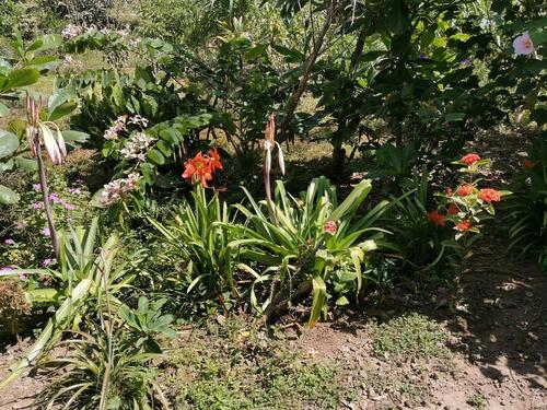 Foto - 4 Zimmer Einfamilienhaus zum Kaufen in Moritzburg