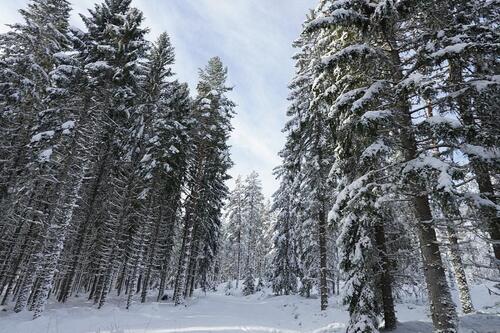 Foto - andere in Neuenkirchen