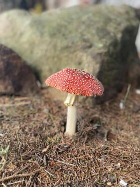 Foto - Ferienwohnung Arbeiterwohnung - 50,00&nbsp;EUR Kaltmiete,