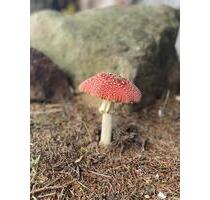 Ferienwohnung Arbeiterwohnung - 50,00&nbsp;EUR Kaltmiete, in Eppendorf (PLZ: 09575)