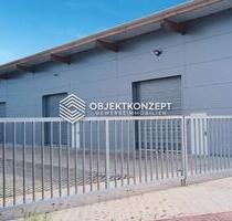 Lagerhalle mit ca. 250 m² Nutzfläche, Rolltor & optionalem Außenbereich - Mahlberg