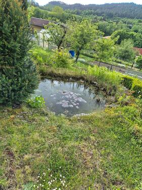 Foto - Grundstück zur Miete in Erfurt