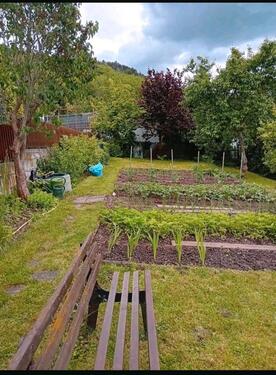 Foto - Grundstück in Erfurt zur Miete