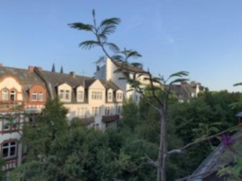 Foto - 2 Zimmer Etagenwohnung in Niedernhausen