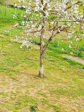 Foto - andere zur Miete in Frankfurt am Main