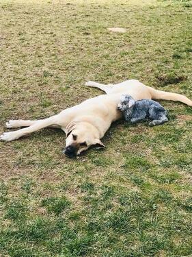 Foto - andere in Frankfurt am Main zur Miete