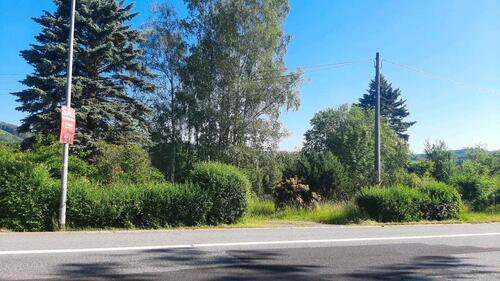 Foto - Einfamilienhaus in Oppach zum Kaufen