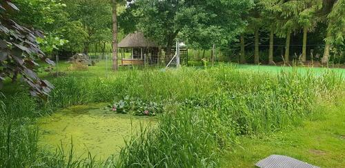 Foto - 10 Zimmer Etagenwohnung in Lüdersdorf