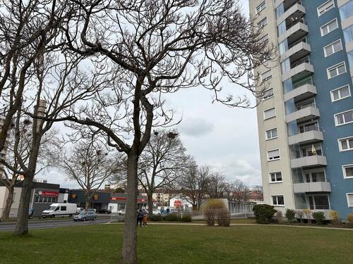 Foto - 3 Zimmer Etagenwohnung zur Miete in Schweinfurt