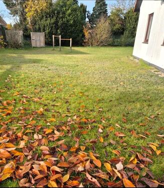 Foto - Erdgeschoss, 3 Zimmer Wohnung in Daverden