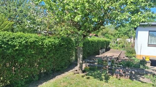 Foto - Grundst&uuml;ck zur Miete in Ratzeburg